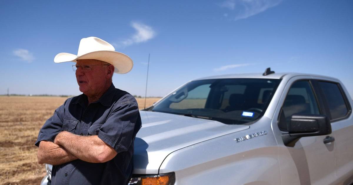 Texas Cotton Industry Struggles Amid Fast Fashion Hazards